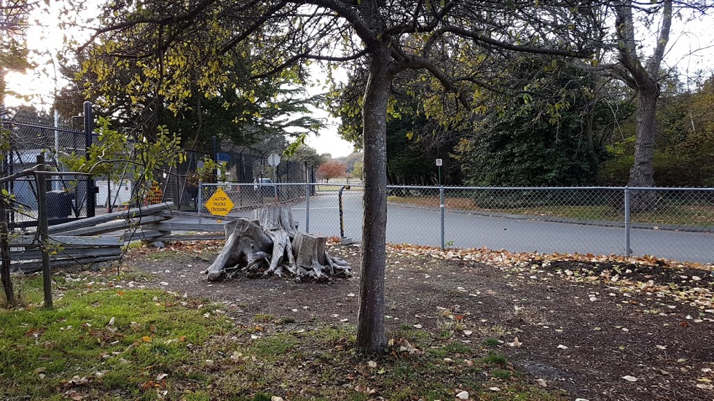 Cook Street Playground and Outdoor Fitness Circuit | 100 Cook St, Leonard St, Victoria, BC V8V, Canada | Phone: (250) 361-0600
