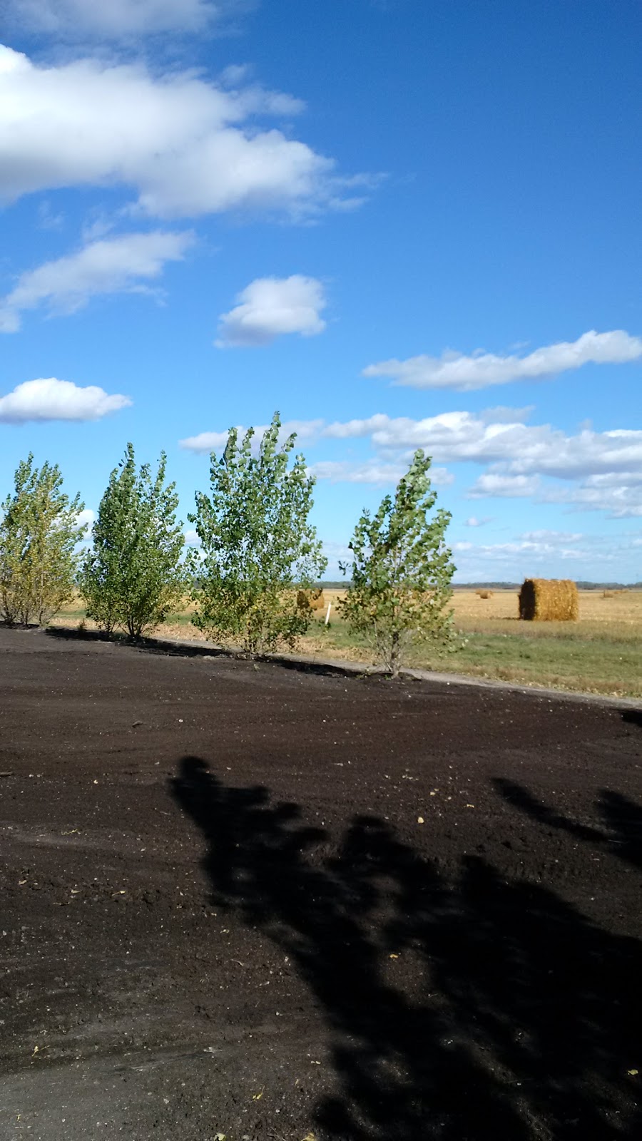 Northern Terrain | 5 Progress Way, Warren, MB R0C 3E0, Canada | Phone: (120) 432-21599