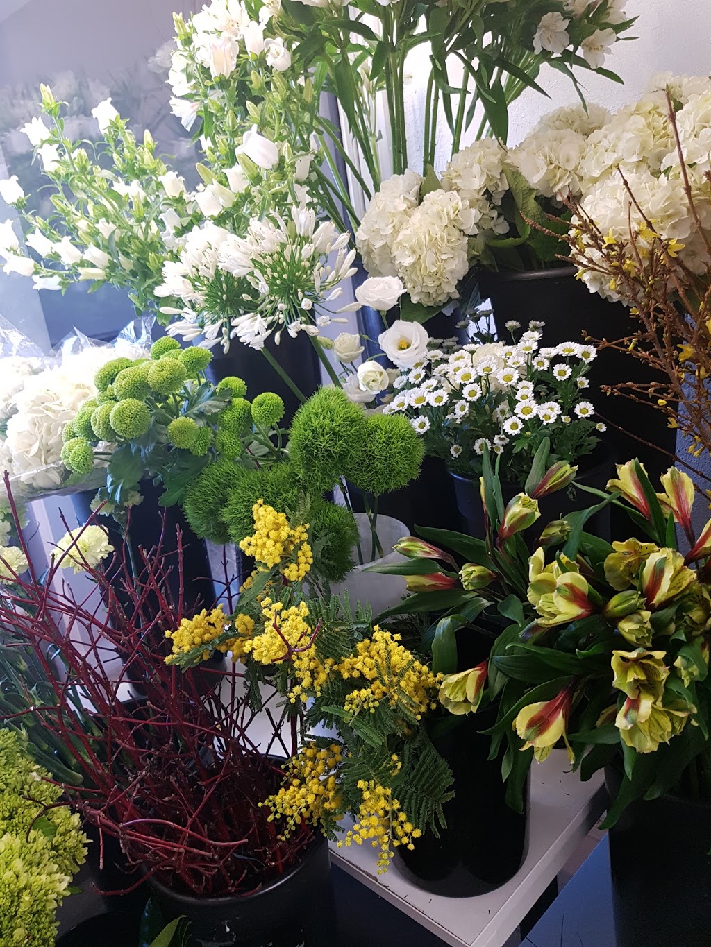 Bourgeon fleuriste | 1218 Rue Fleury E, Montréal, QC H2C 1R1, Canada | Phone: (514) 384-1616