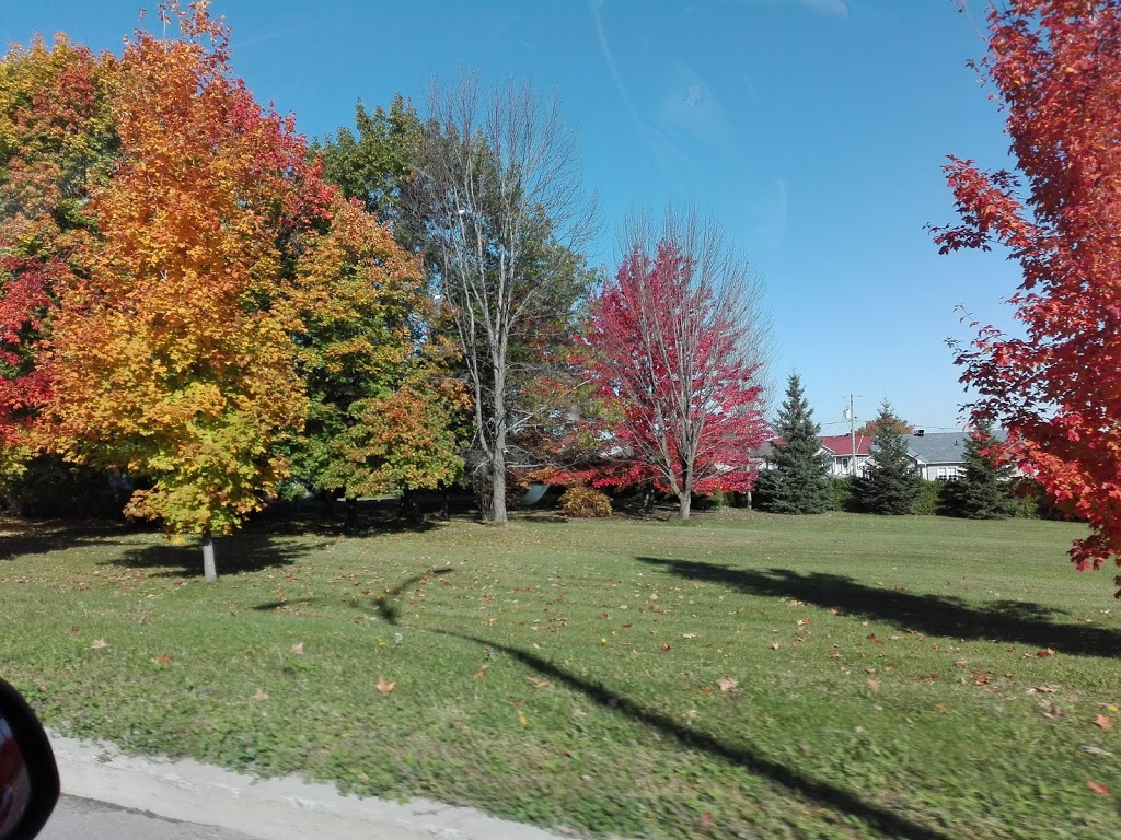 Parc de l'Odyssée - 535 Rue Denison E, Granby, QC J2G 9J6, Canada