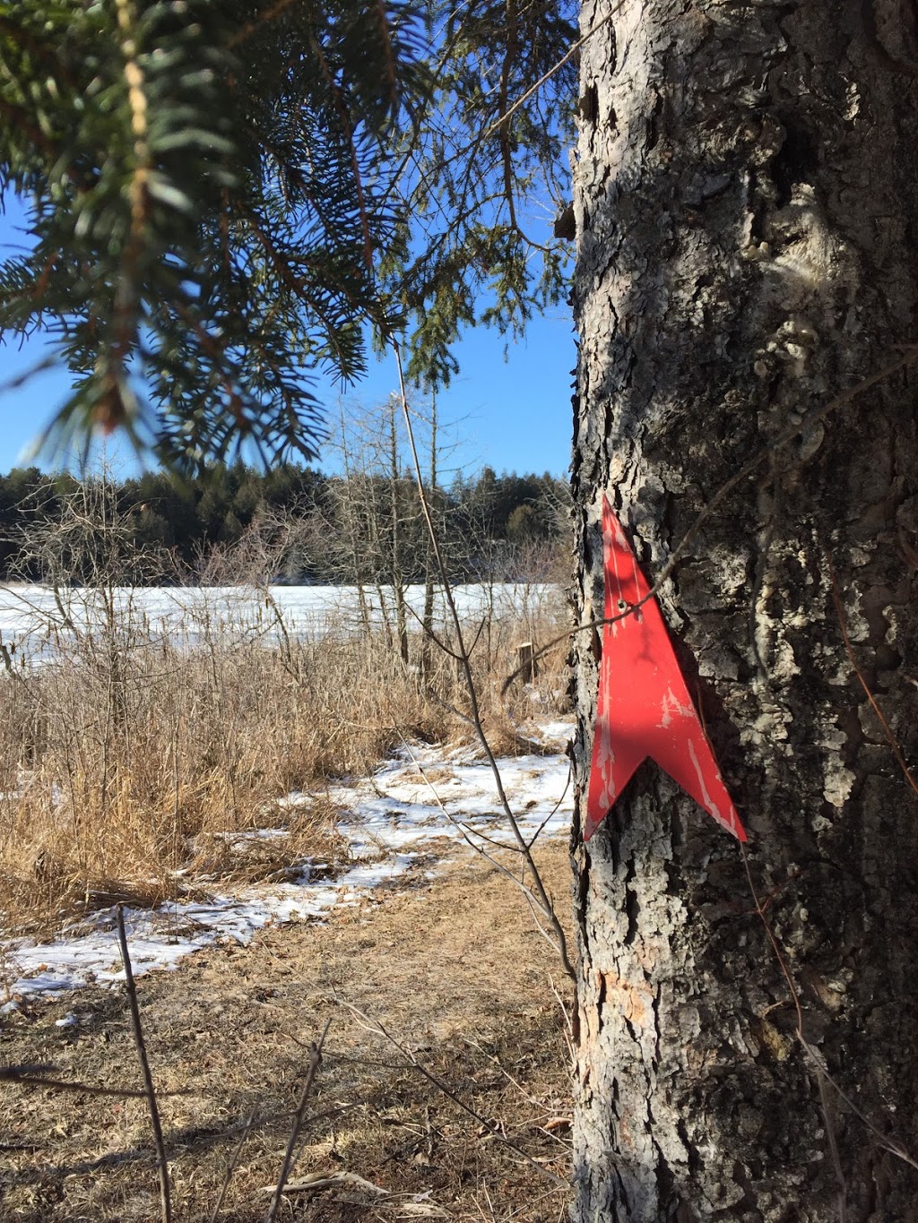 Mill Pond Conservation Area | County Rd 38, Portland, ON K0G 1V0, Canada