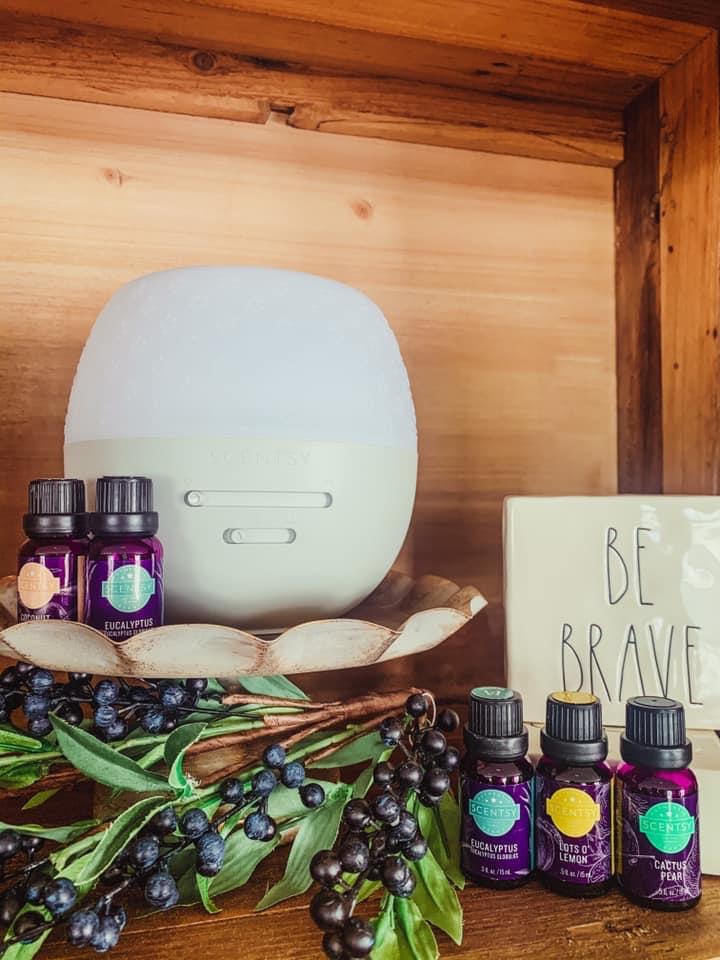 Dana Lucas Independent Scentsy Superstar Director | 155 Birchcliffe Crescent, Hamilton, ON L8T 4K6, Canada | Phone: (519) 420-9020
