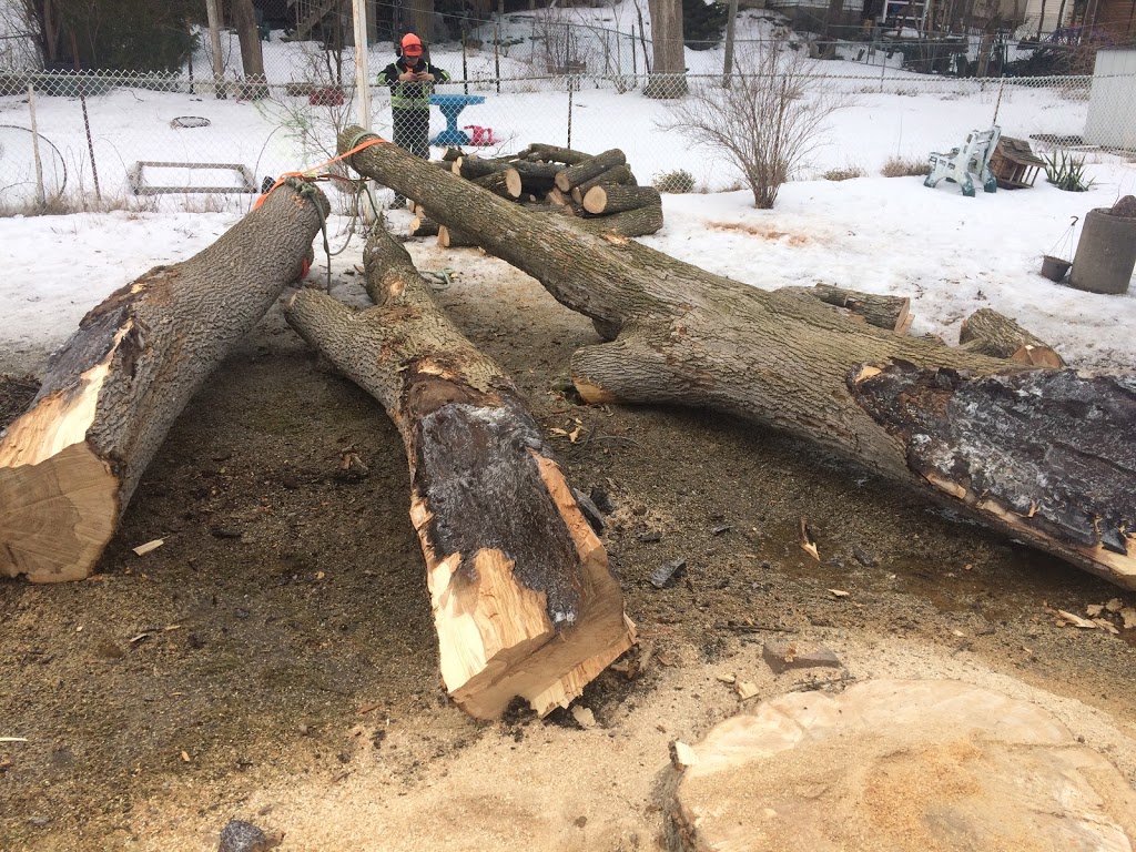 REDWAL Tree Service | 44 Riverview Dr, Omemee, ON K0L 2W0, Canada | Phone: (705) 768-2855