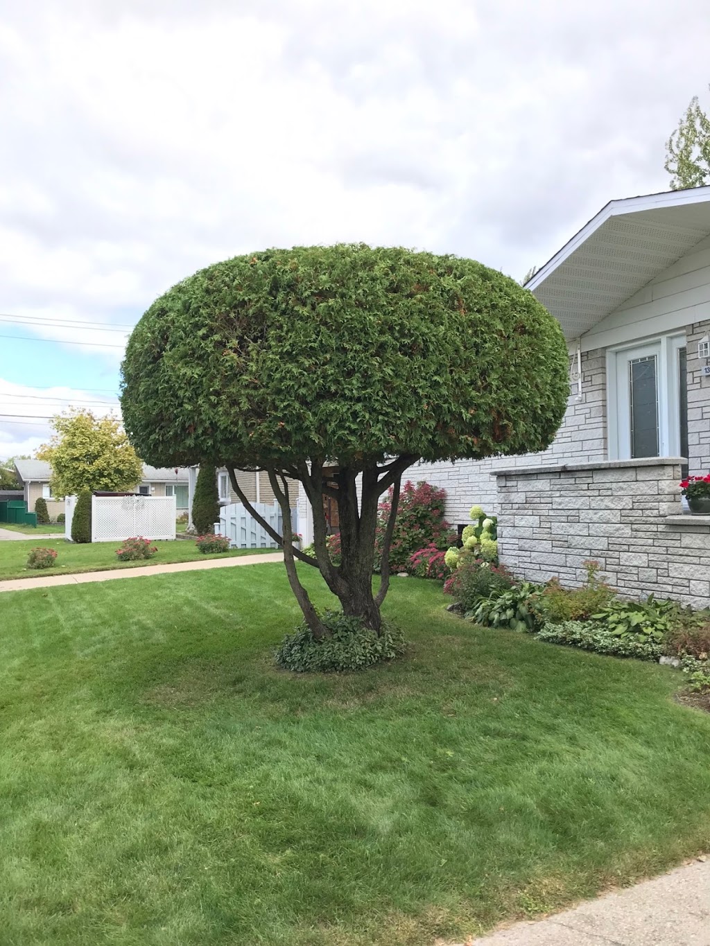 Paysagement AB | 50 Rue Sunny, Trois-Rivières, QC G9B 2K1, Canada | Phone: (819) 386-4188