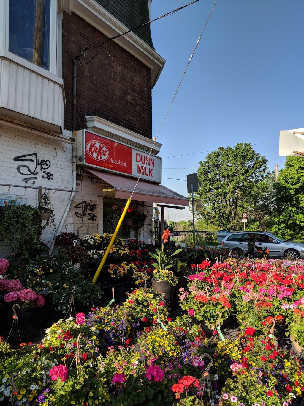 Dunn Milk | 65 A Dunn Ave, Toronto, ON M6K 2R5, Canada