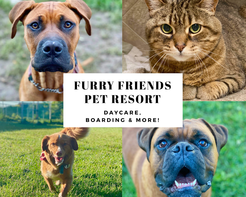 Furry Friends Pet Resort | 5455 Langmaid Rd, Hampton, ON L0B 1J0, Canada | Phone: (905) 725-6210