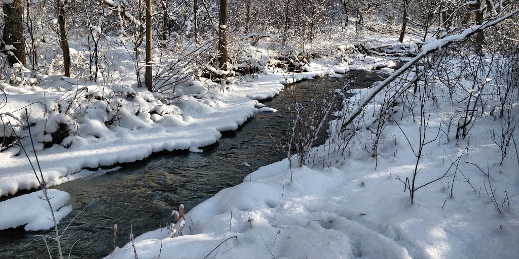 Maple Valley Park | 26 Prince Edward Blvd, Thornhill, ON L3T 7G2, Canada