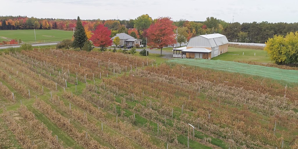 Vignoble Terre des Passions | 1218 QC-161, Saint-Valère, QC G0P 1M0, Canada | Phone: (418) 815-7572