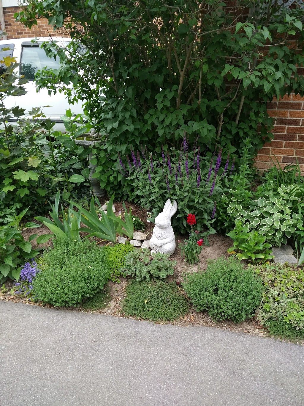 South Common Park | 3501 Glen Erin Dr, Mississauga, ON L5L 2E9, Canada | Phone: (905) 615-4311