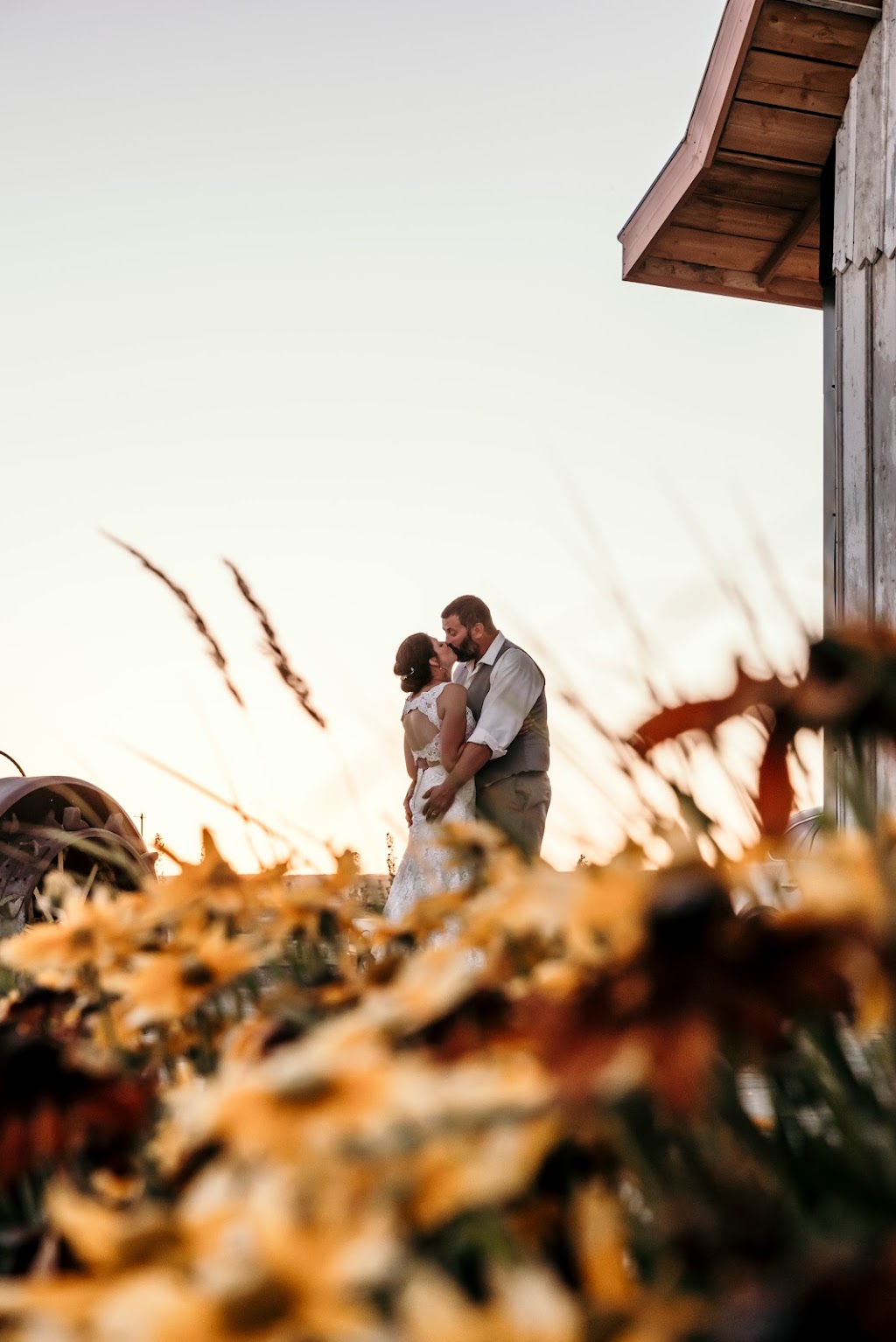 Countryside Barn | 103042 RR23-5, AB T0L 1M0, Canada | Phone: (403) 320-7702