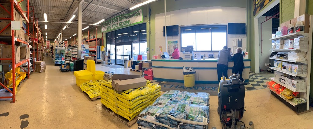 The Clean Depot | 2601 Wyandotte St E, Windsor, ON N8Y 0A5, Canada | Phone: (519) 256-2244