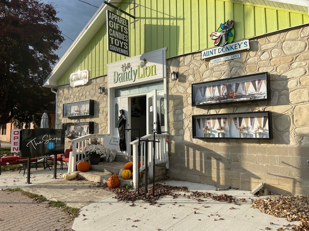 Aunt Donkeys Toys & Novelties | 84 Main St, Lions Head, ON N0H 1W0, Canada | Phone: (519) 793-3351