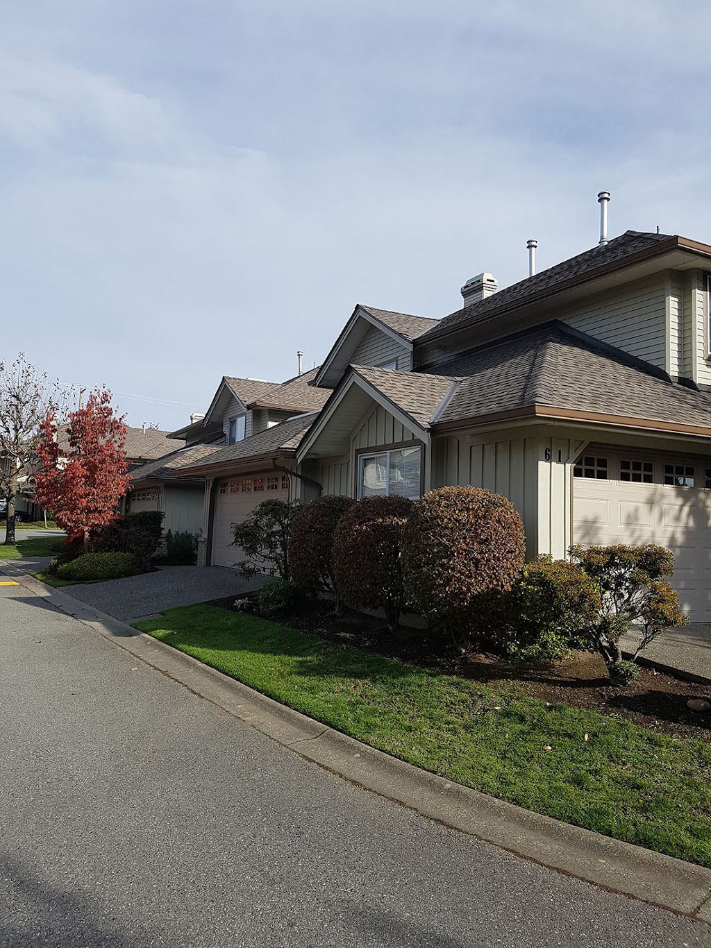 Art Vision Painting | 21260 Cook Ave, Maple Ridge, BC V2X 7P9, Canada | Phone: (604) 500-6059