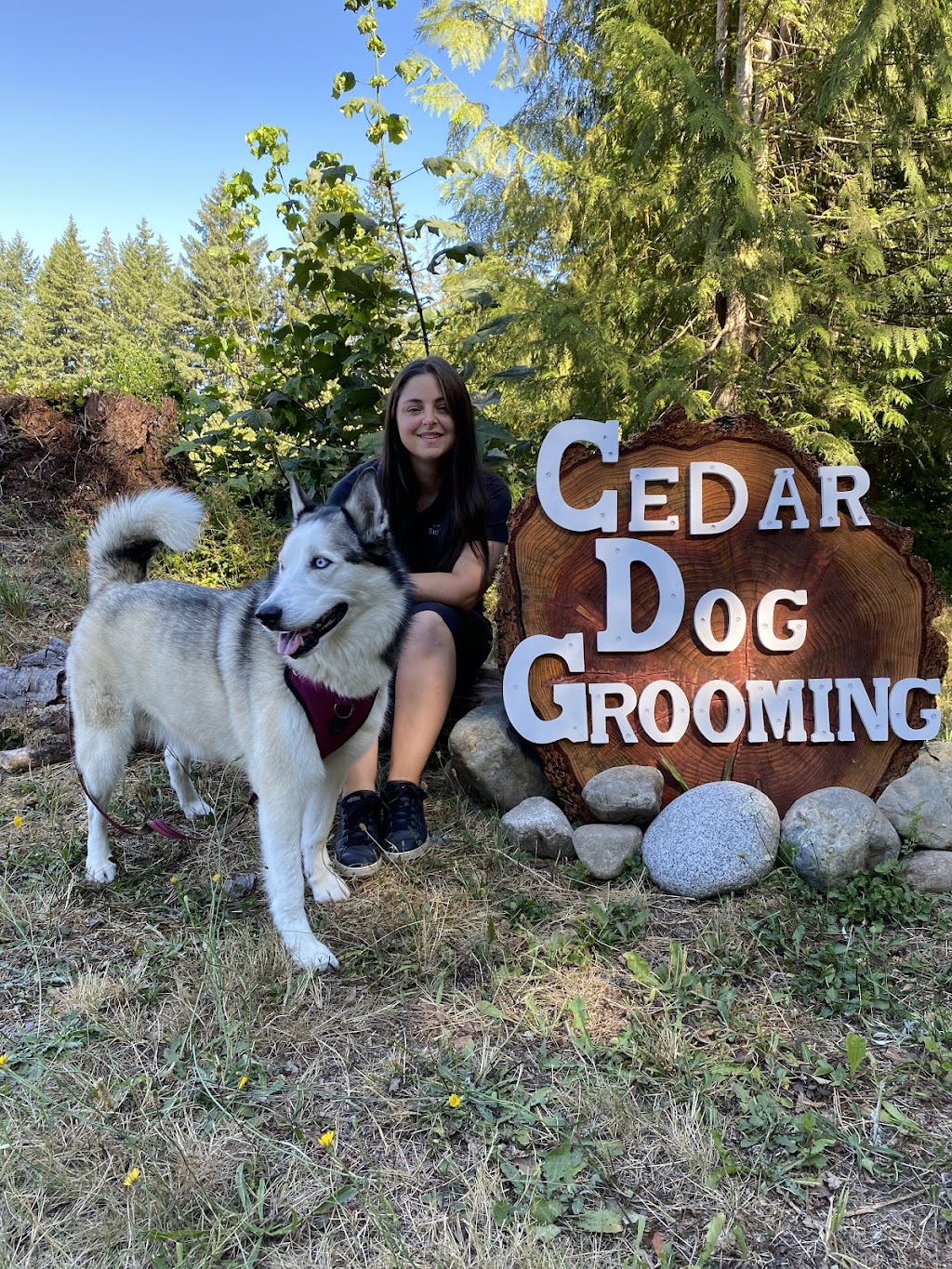 Cedar Dog Grooming | 13576 Adshead Rd, Ladysmith, BC V9G 1H6, Canada | Phone: (604) 698-9572