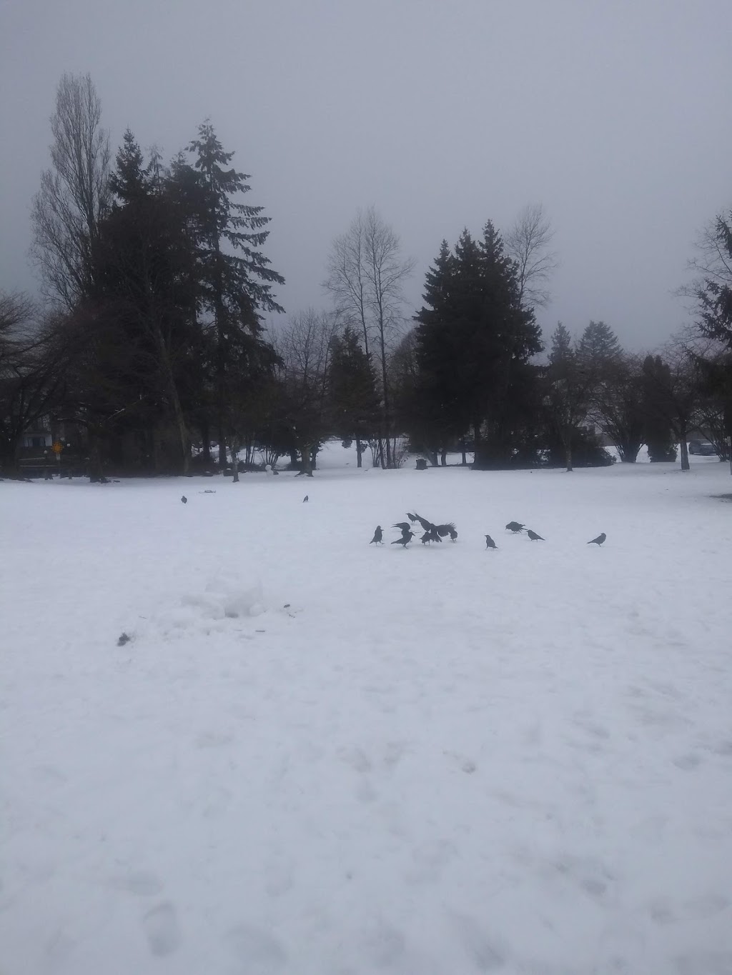 Old Orchard Park | Burnaby, BC V5H 1P4, Canada | Phone: (604) 294-7450