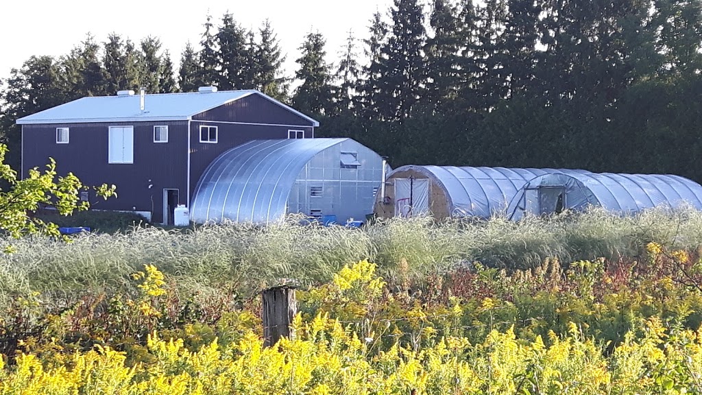 Lunar Rhythm Gardens, Organic CSA Farm | 253 Gray Rd, Janetville, ON L0B 1K0, Canada | Phone: (905) 986-9612
