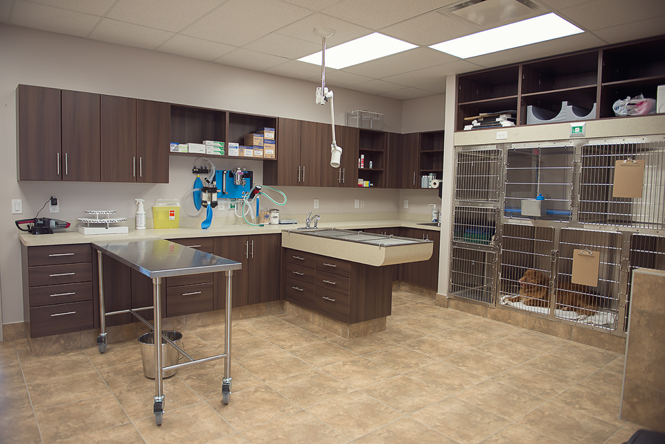 Hazeldean Animal Hospital | 5685 Hazeldean Rd, Stittsville, ON K2S 0P6, Canada | Phone: (613) 831-8788