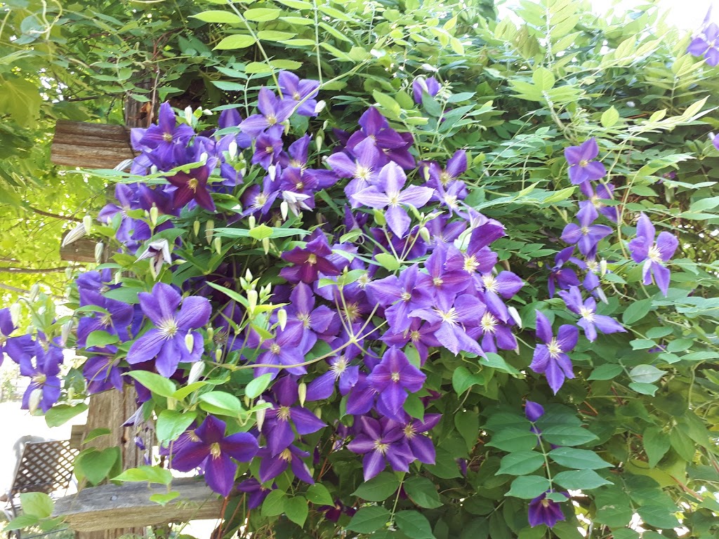 Mansfield Heritage Farm | 588383 10 Sideroad, Mansfield, ON L0N 1M0, Canada | Phone: (249) 877-3075