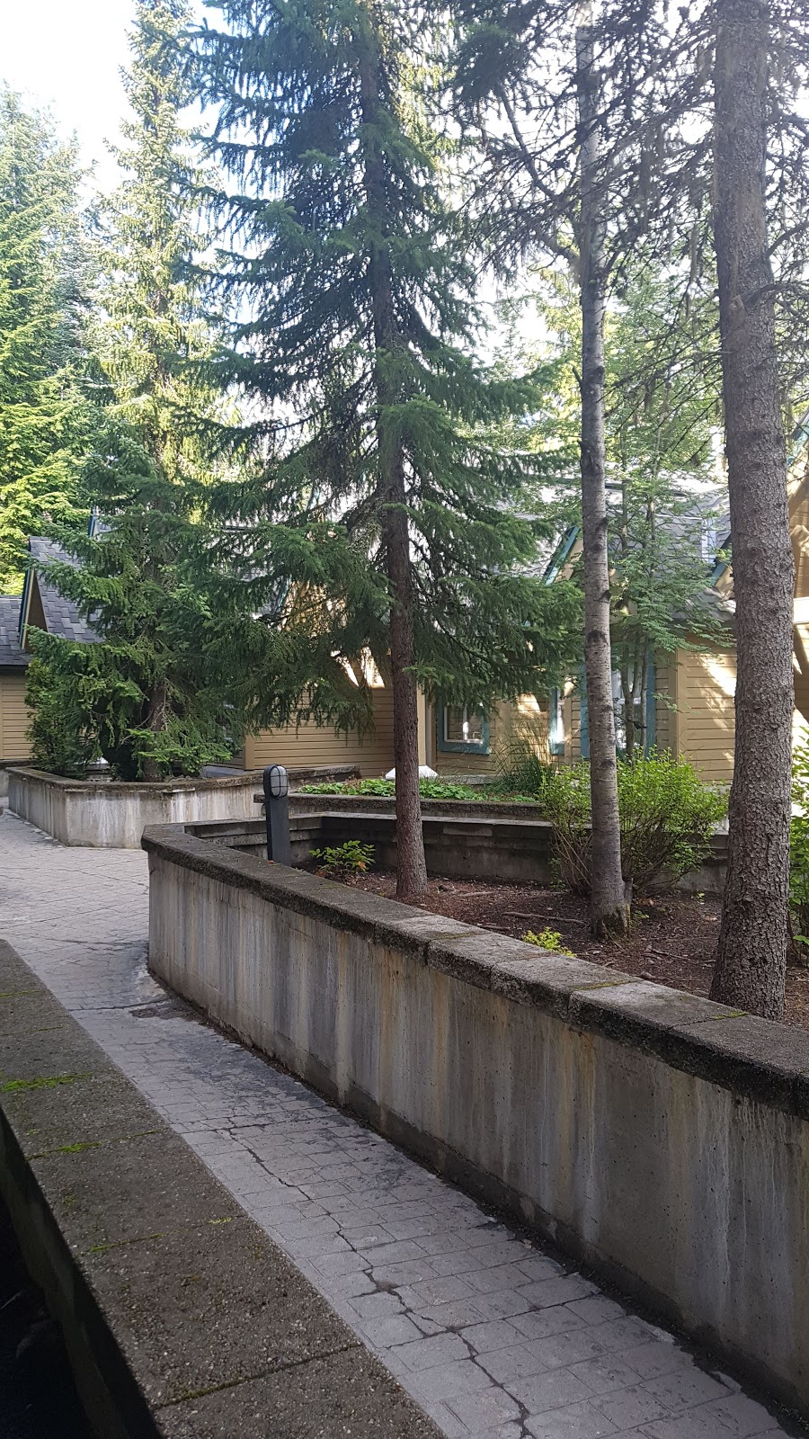Snowbird | 4865 Painted Cliff Rd, Whistler, BC V0N 1B4, Canada | Phone: (800) 665-5858