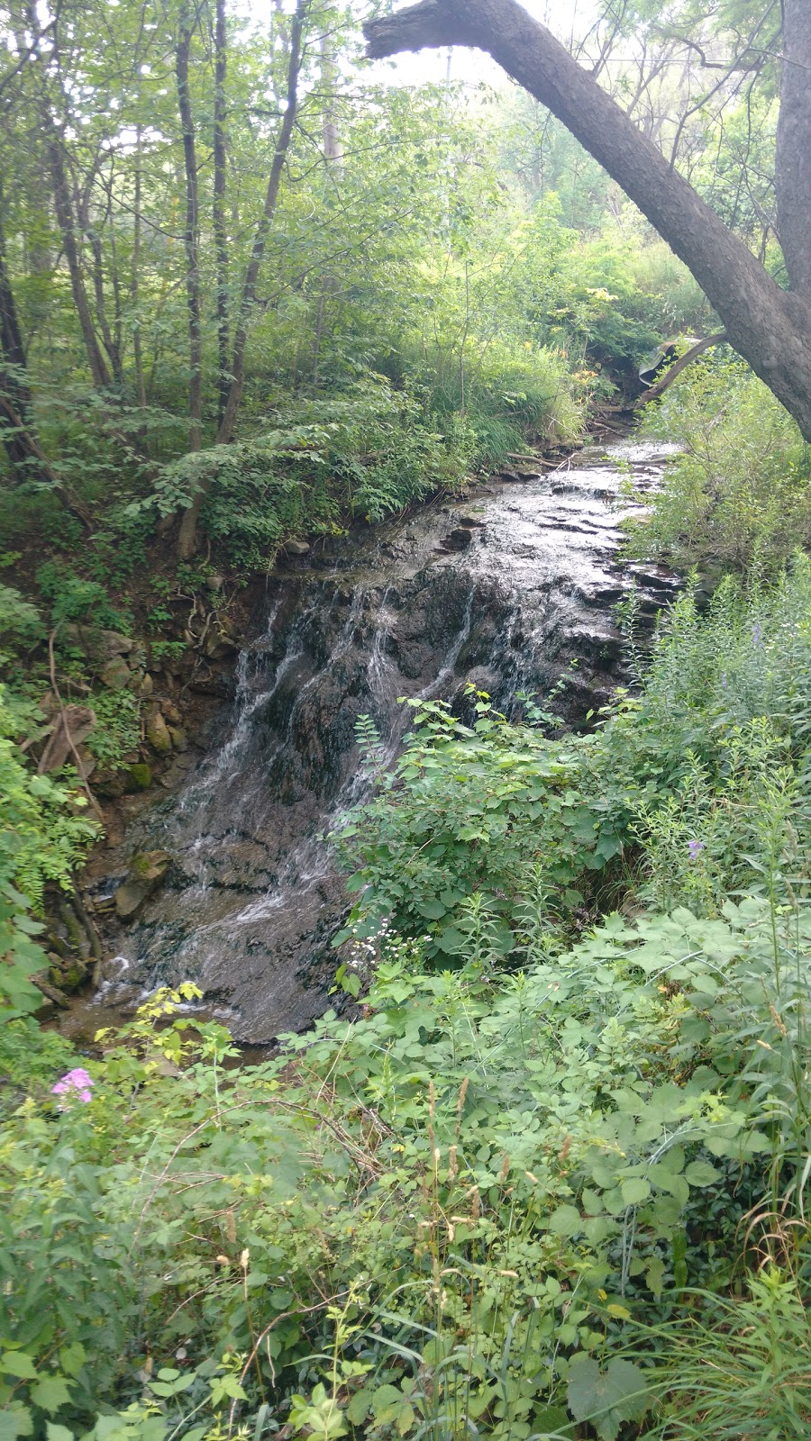 Sulphur Springs Parking Lot | Hamilton, ON L9G 4T7, Canada