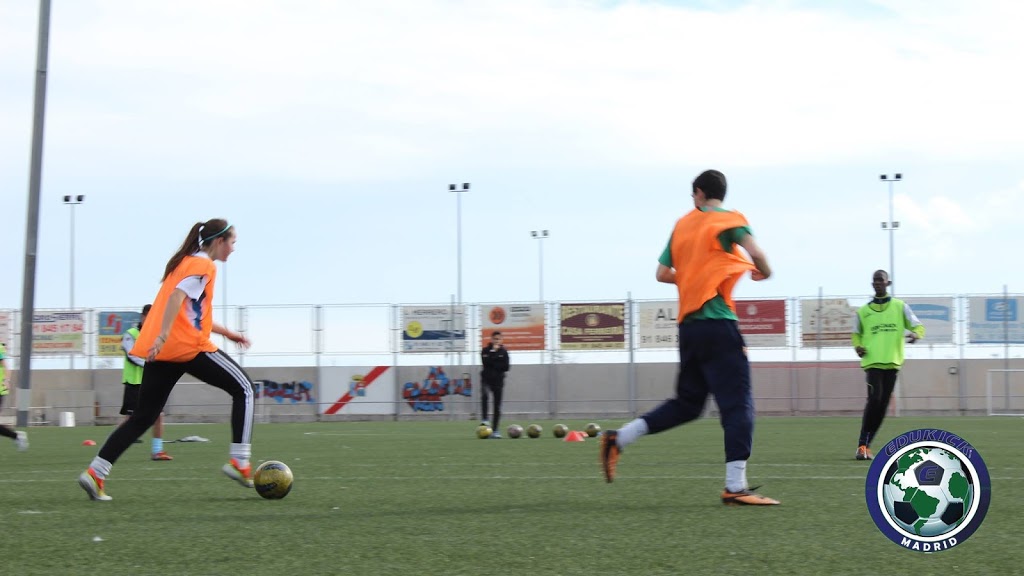 EduKick International Soccer Academies | 1184 Bellview St, Burlington, ON L7S 1C7, Canada | Phone: (905) 631-9541