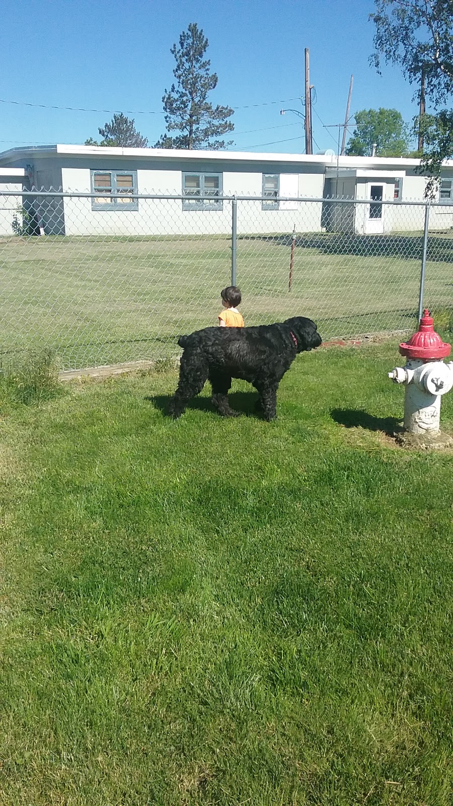 The Paw Park - Off-Leash Dog Park | 550 Smith Rd, East Amherst, NY 14051, USA | Phone: (716) 830-8853
