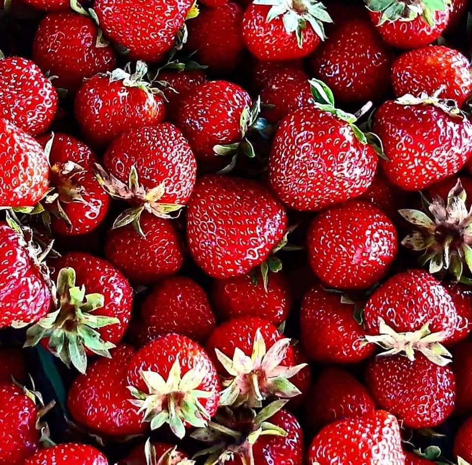 The Farm-acy | 148 Concession 6 East, Waterdown, ON L0R 1V0, Canada | Phone: (905) 689-5466