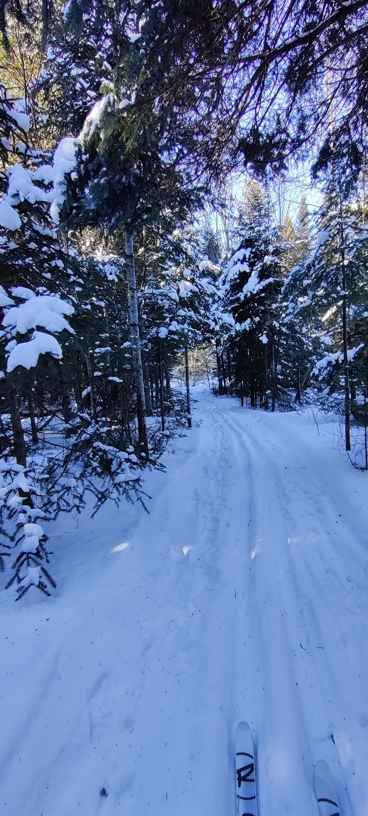 Club de ski de fond La Loutre | Av. Mercure, Plessisville, QC G6L 1E1, Canada | Phone: (819) 362-7145