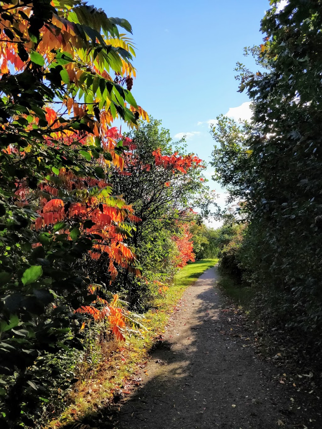 Iroquois Shoreline Woods Park | 2047 Grosvenor St, Oakville, ON L6H 5A2, Canada
