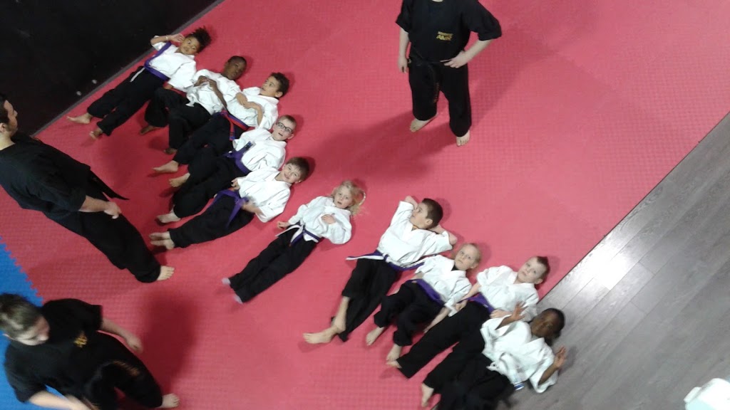 Center Martial Arts Roussillon | 1420 Boulevard Taschereau, La Prairie, QC J5R 4E8, Canada | Phone: (450) 695-1772