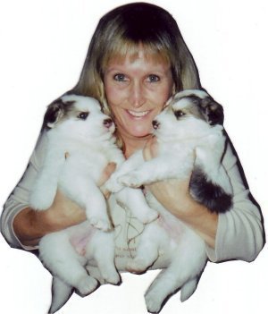 Canine Correspondence Studies with Norma Jeanne | 884 Centre Line Rd, Marmora, ON K0K 2M0, Canada | Phone: (705) 917-3647