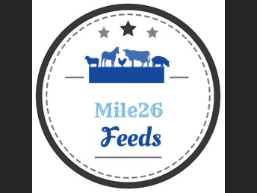 Mile 26 Feeds Rental & Farm Supply | pet store | 49045 Range Rd 21, Thorsby, AB T0C 2P0, Canada | 5875722626 OR +1 587-572-2626