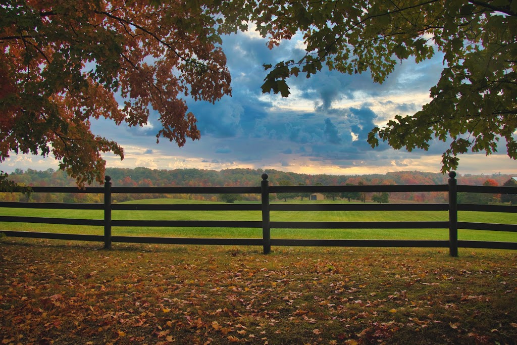 Mt. Nemo Creek Farm & Photography | 5565 Guelph Line, Burlington, ON L0P 0A5, Canada | Phone: (905) 320-2606