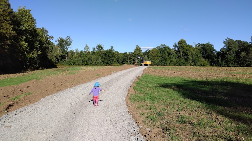 Whalen Excavating | 435 county road 17, Napanee, ON K7R 3L2, Canada | Phone: (613) 888-8474