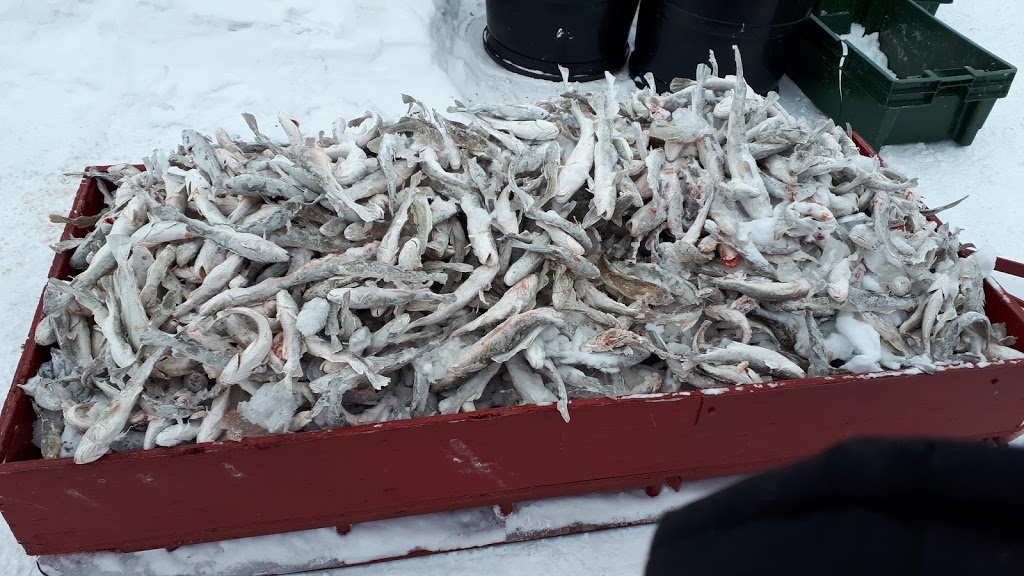 Marceau Guy | 190 5e Av, Sainte-Anne-de-la-Pérade, QC G0X 2J0, Canada | Phone: (418) 325-2187