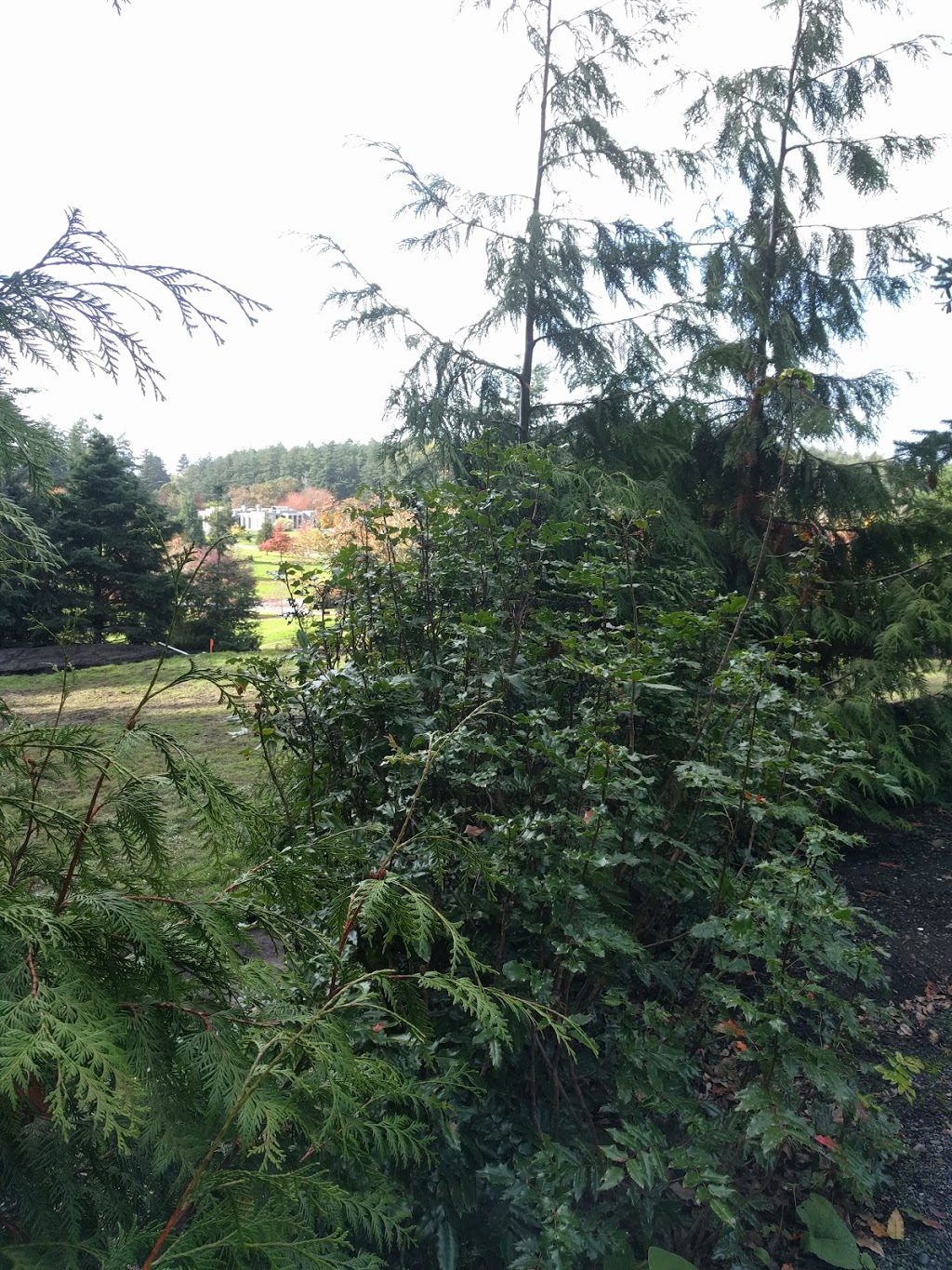 Story Park | Story, Lane, Victoria, BC V9C 0H3, Canada