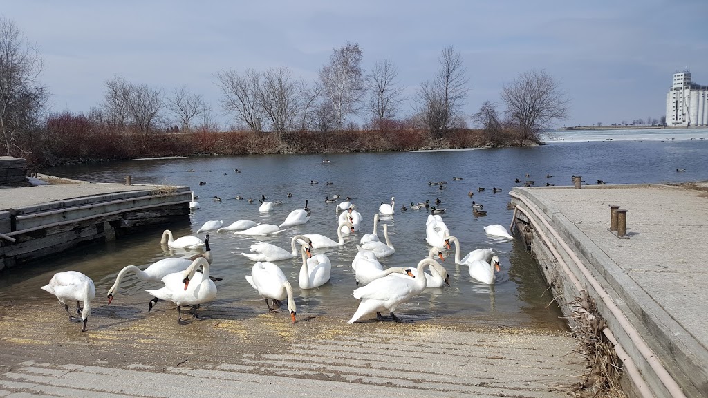 Harbourview Park | 2 Water St, Collingwood, ON L9Y 3E4, Canada | Phone: (705) 444-2500