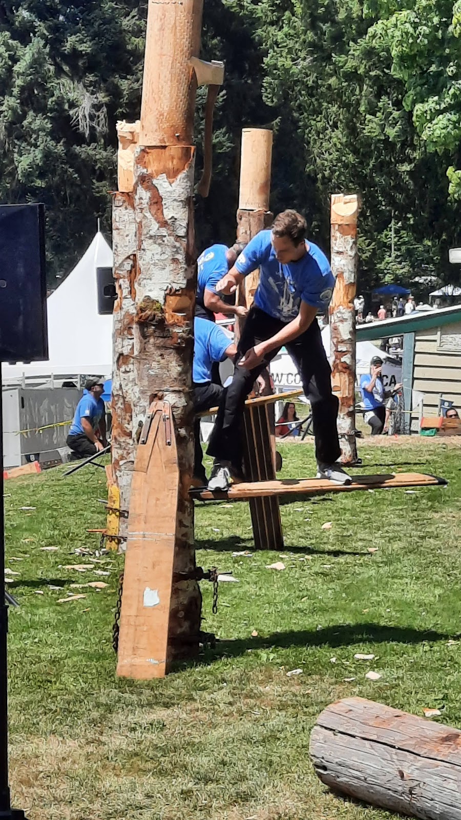 Logger Sports Memorial Bowl | Powell River, BC V8A 5T3, Canada | Phone: (604) 344-0753