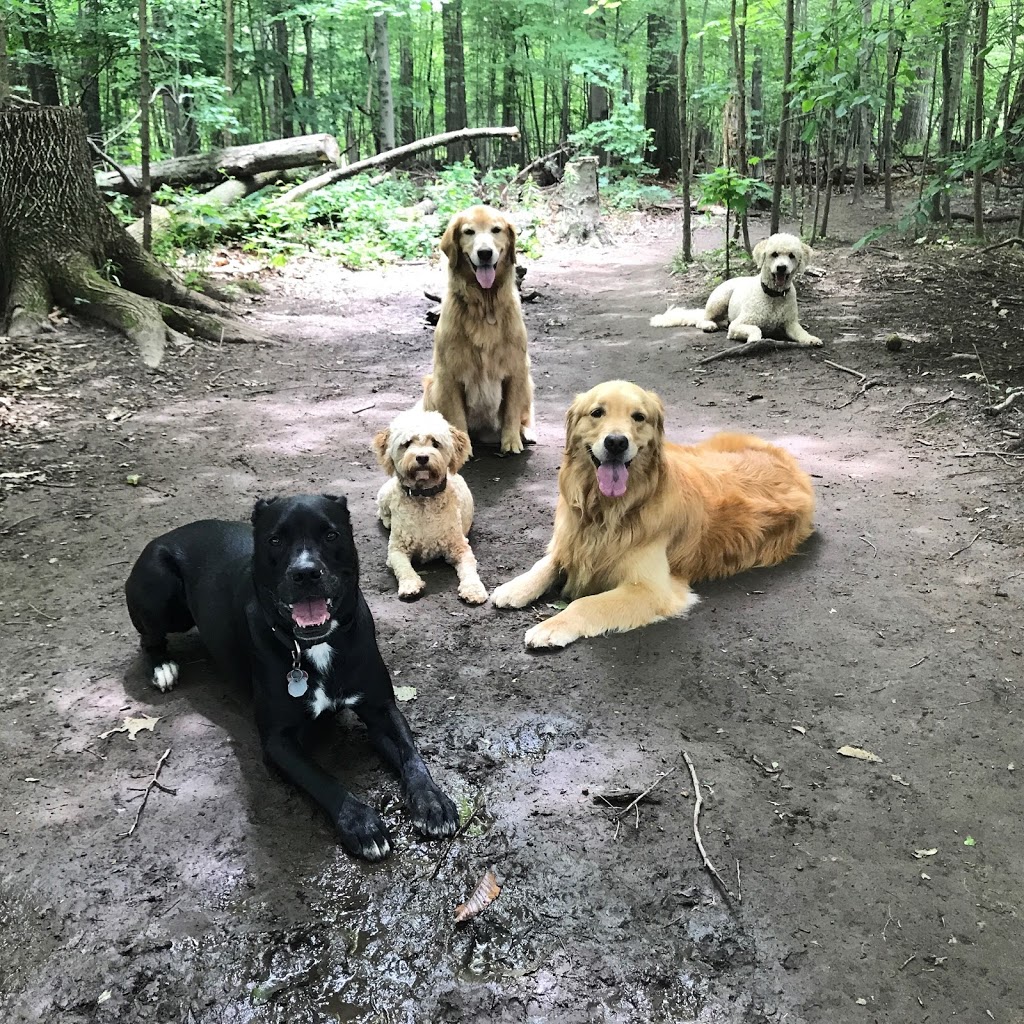 Puppy Dog Trails | 1358 Odessa Crescent, Oakville, ON L6H 1R8, Canada | Phone: (647) 376-7832