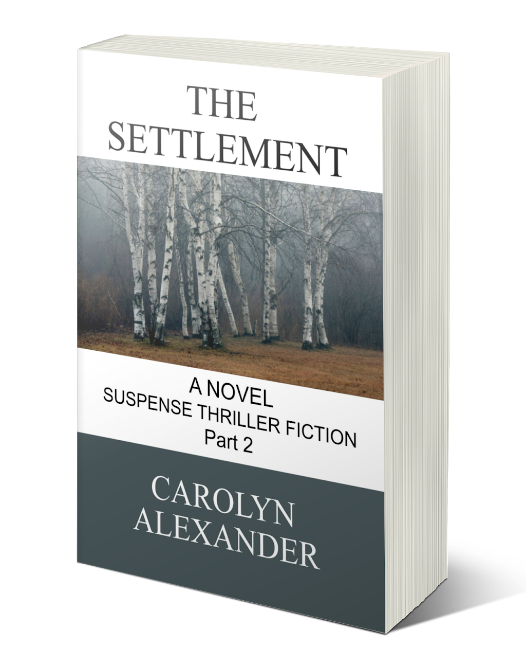 Carolyn Alexander | 5837 Lakeshore Rd, Fort Gratiot Twp, MI 48059, USA | Phone: (586) 876-6900