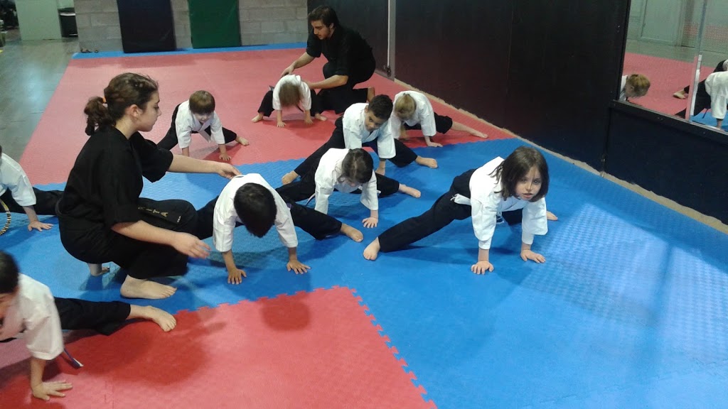 Center Martial Arts Roussillon | 1420 Boulevard Taschereau, La Prairie, QC J5R 4E8, Canada | Phone: (450) 695-1772