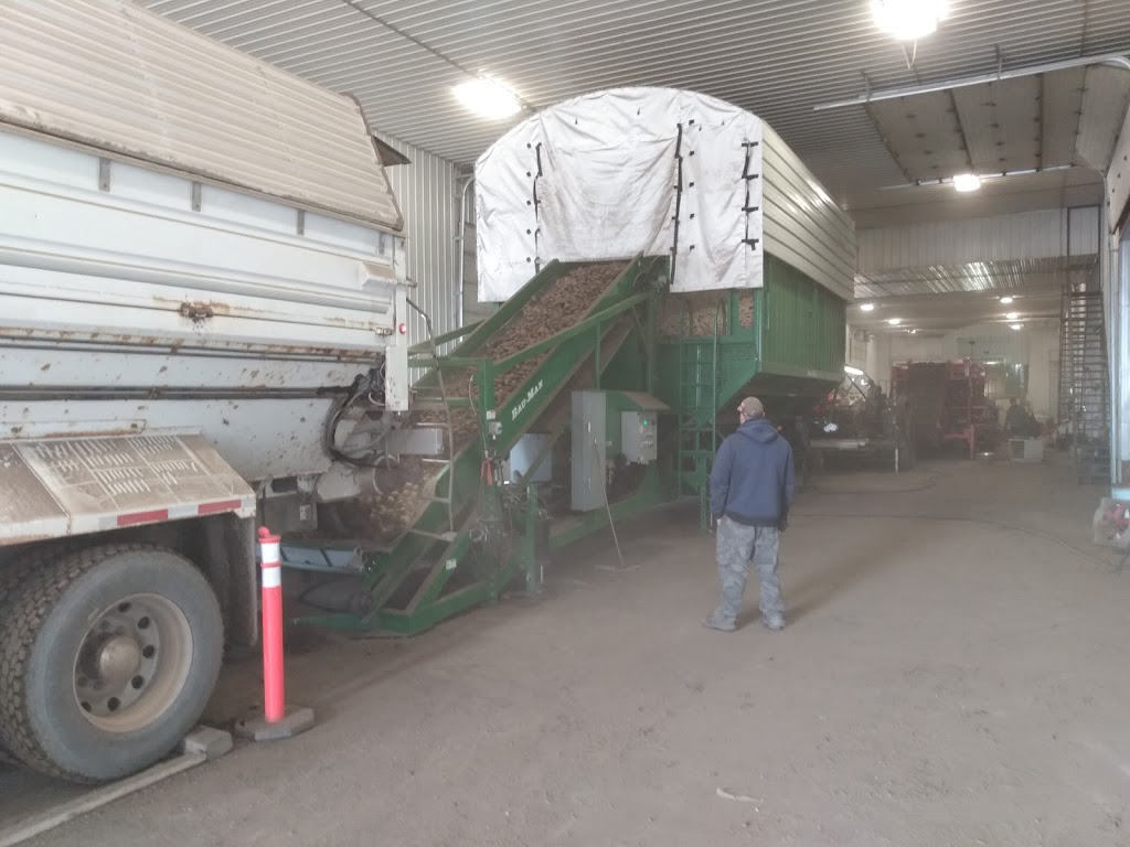 Spud Plains Farms LTD | Wellwood, MB R0K 2H0, Canada | Phone: (204) 834-3866