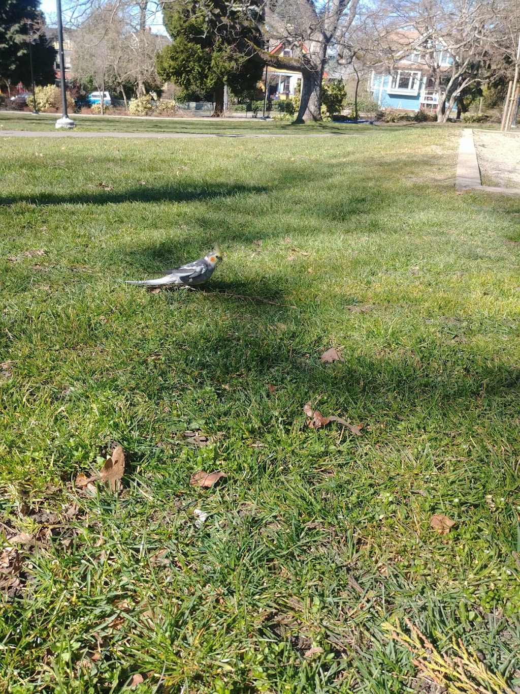 Stadacona Park | 1490 Pandora Ave, Victoria, BC V8R 6P9, Canada | Phone: (250) 361-0600