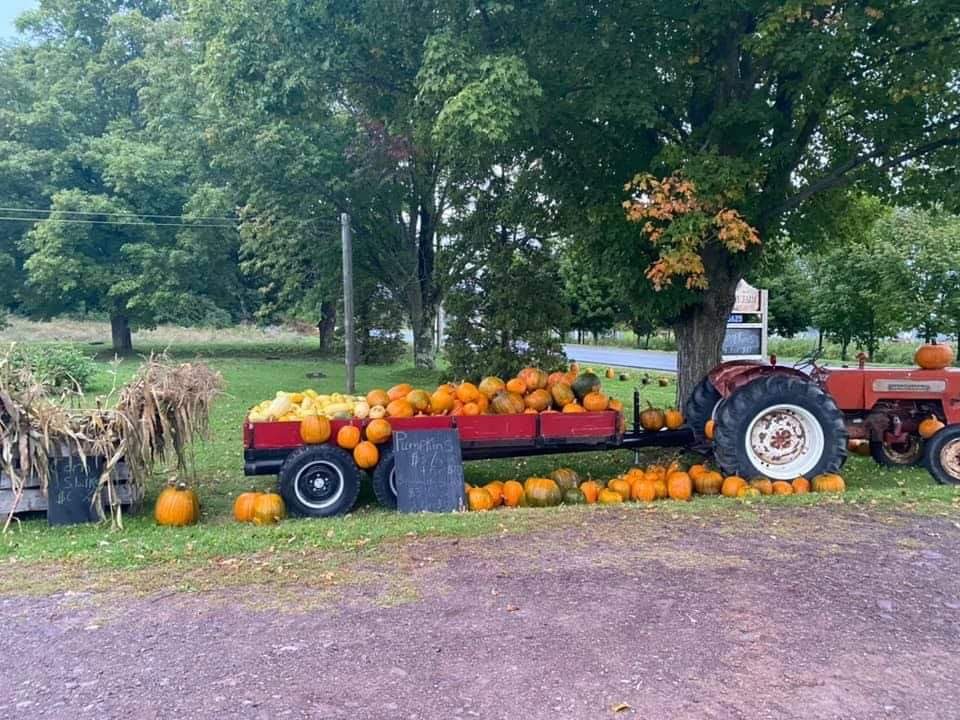 Graceway Farm | 6625 Aylesford Rd, Aylesford, NS B0P 1C0, Canada | Phone: (902) 847-1206
