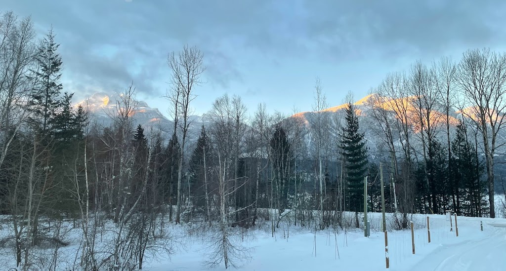 Arrows Edge Lodge | 3108 Airport Way, Revelstoke, BC V0E 2S3, Canada | Phone: (778) 252-8433