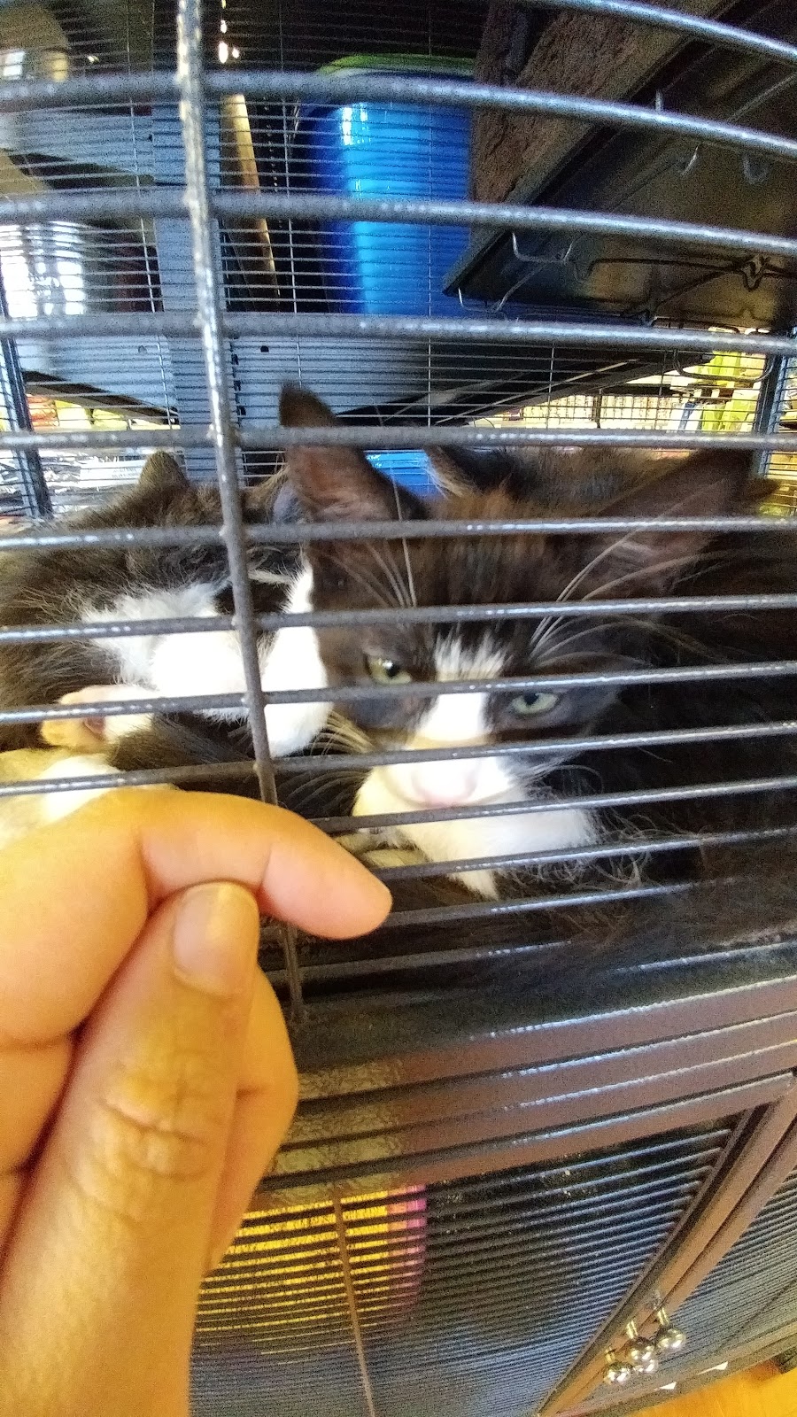 Bosleys by Pet Valu | 6466 176 St #400, Surrey, BC V3S 4G3, Canada | Phone: (604) 576-6377