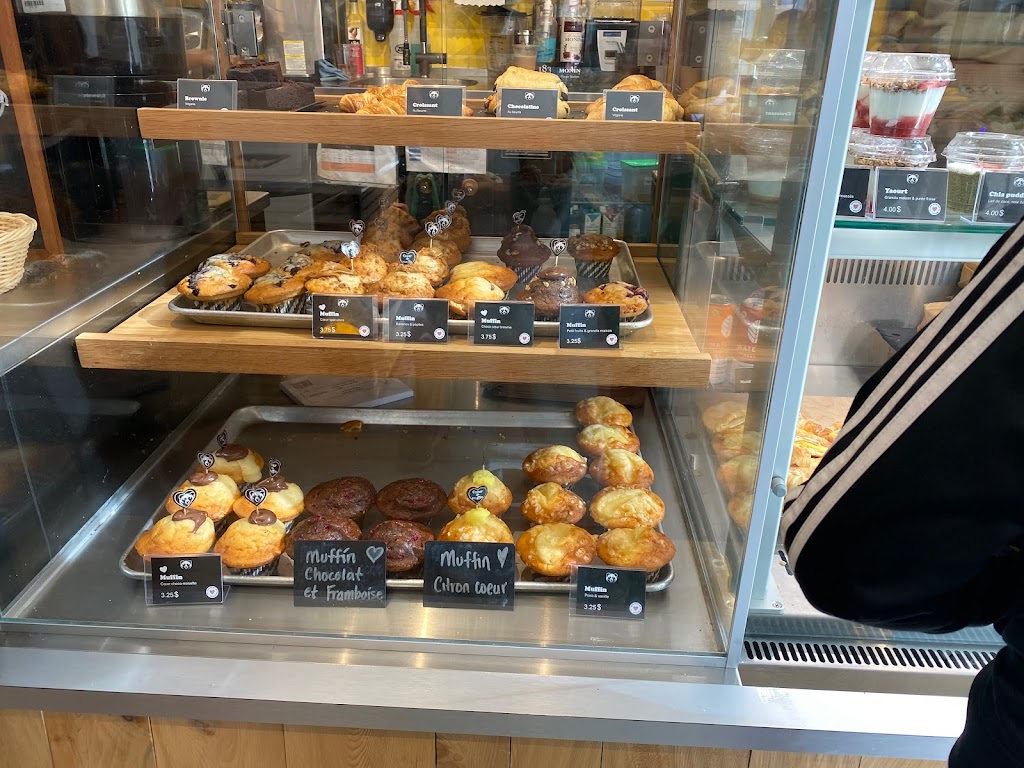 Columbus Café & Co | 1200 Avenue du Mont-Royal E, Montréal, QC H2J 1Y2, Canada | Phone: (514) 419-1787