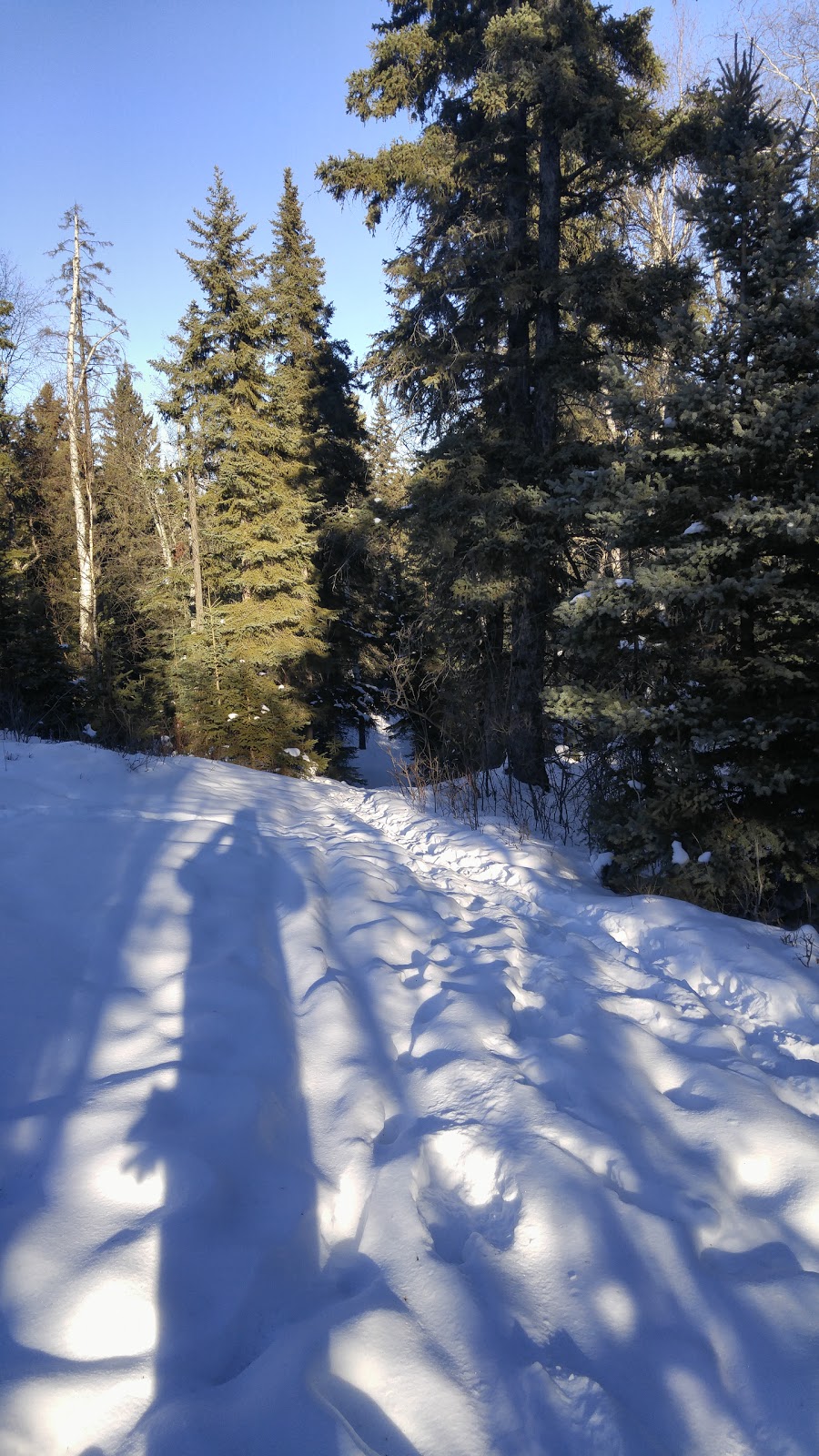 J.J. Collett Natural Area | RR 4, Lacombe County, AB T4L 2N4, Canada | Phone: (403) 782-1178