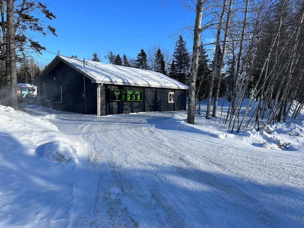 Big Cove Tjitj Buds | 427 Graham Rd, Elsipogtog First Nation, NB E4W 2T8, Canada | Phone: (506) 523-1889