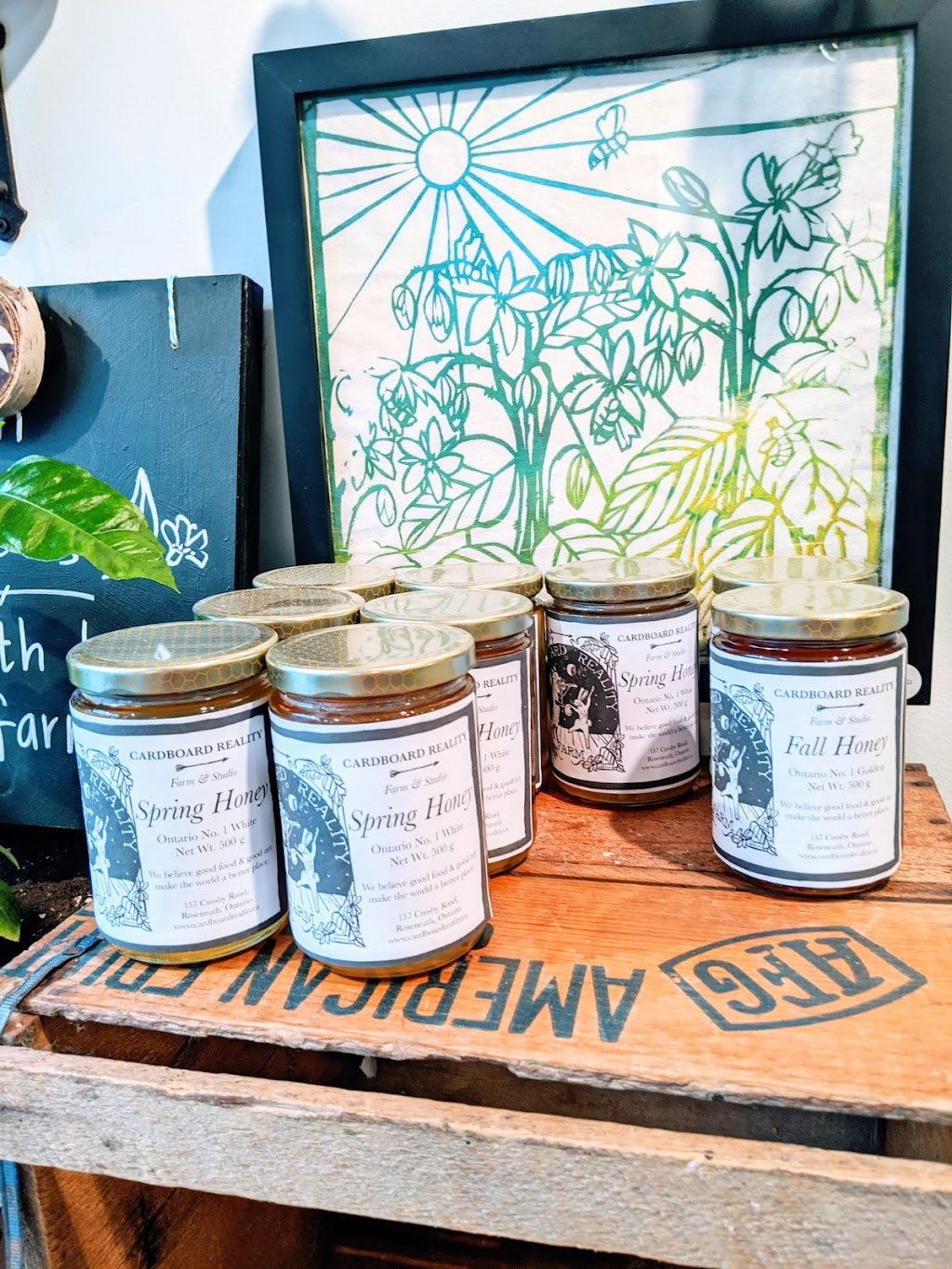 Cardboard Reality Farm & Studio | 157 Crosby Rd, Roseneath, ON K0K 2X0, Canada | Phone: (647) 642-6276